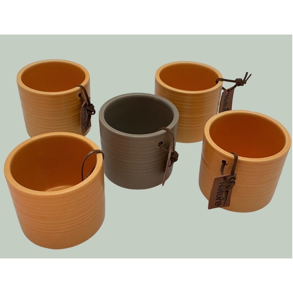 Nature Unbranded Ceramic Ribbed Mini Succulent Planter Pots Set of 5 Orange Grey